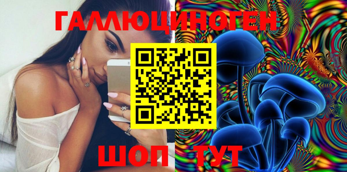 Выкса  Галлюциногенные грибы MAGIC MUSHROOMS  Галлюциногенные грибы Psilocybe  купить наркотики сайты  Вход с VPN 