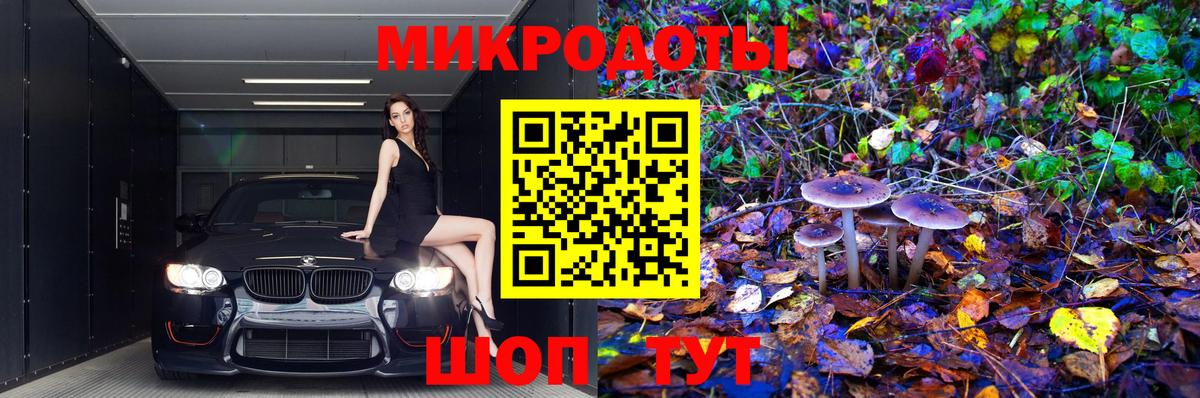 Галлюциногенные грибы Cubensis Выкса