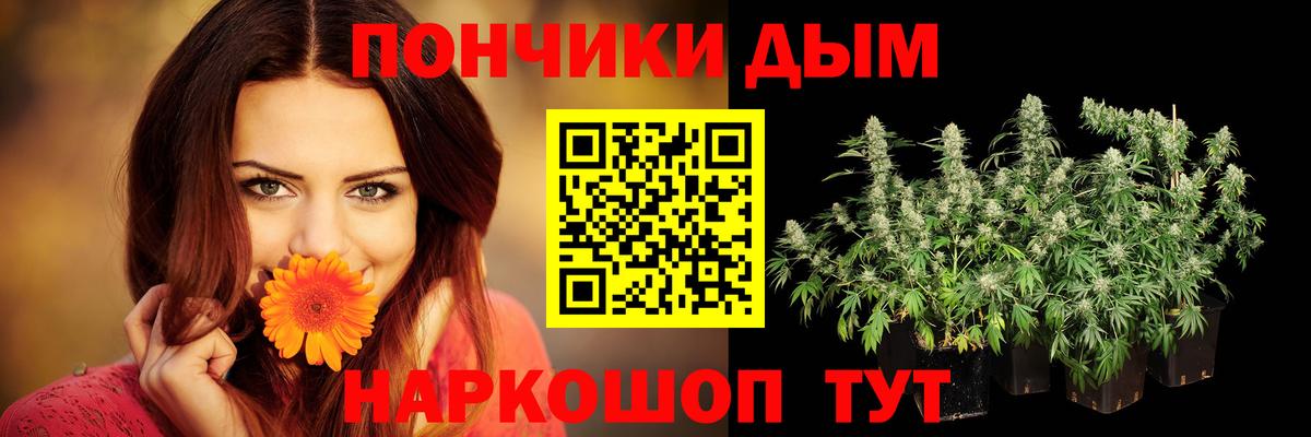 Конопля Ganja  Вход с VPN  Конопля White Widow  Выкса  Шишки марихуана Bruce Banner  Каннабис конопля 